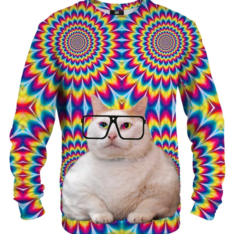 Fat Cat cotton sweater