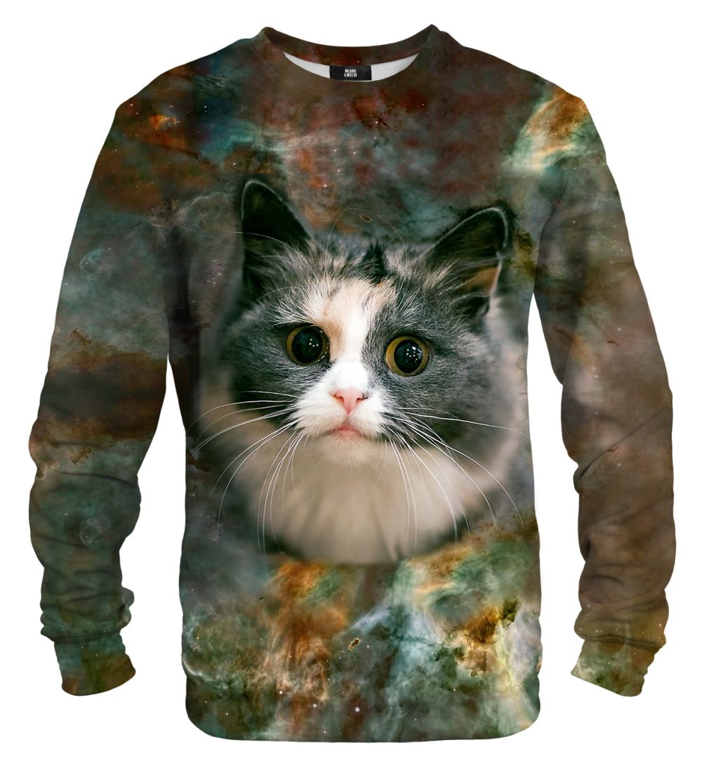 Pussy cat sweater