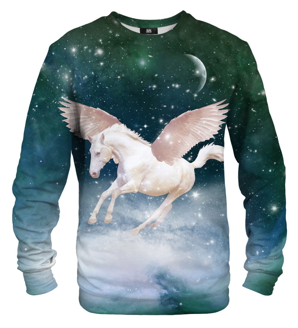 Pegasus sweater