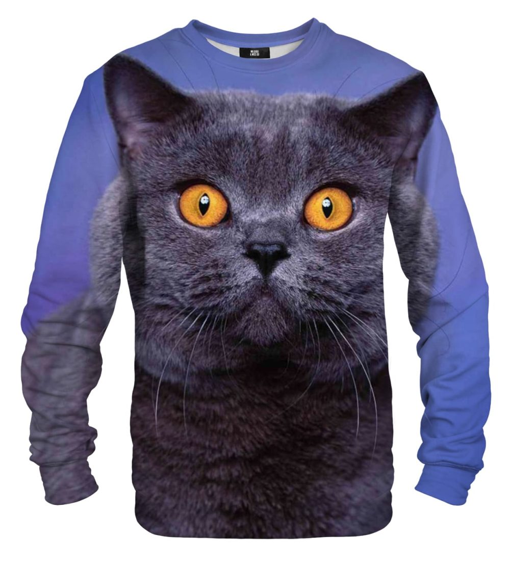 British Cat sweater