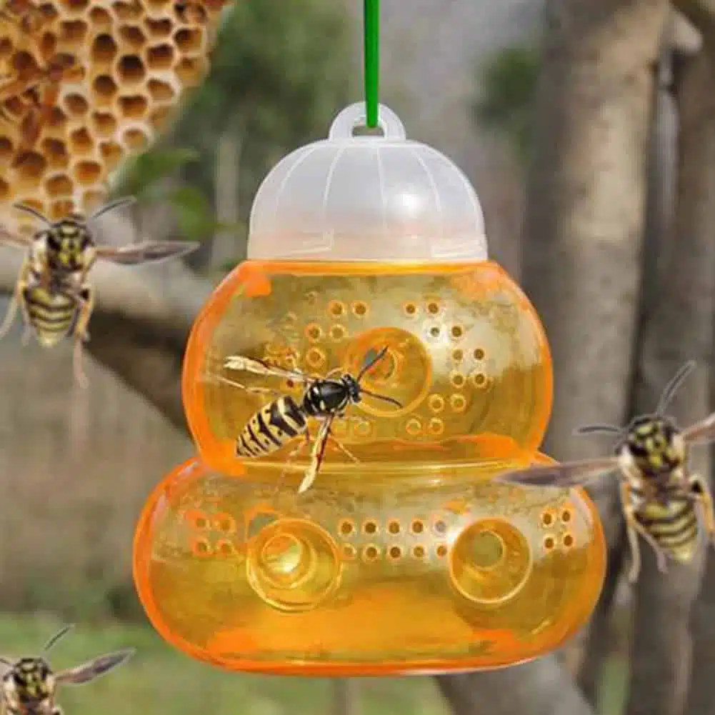 Wespen- en bijenvanger